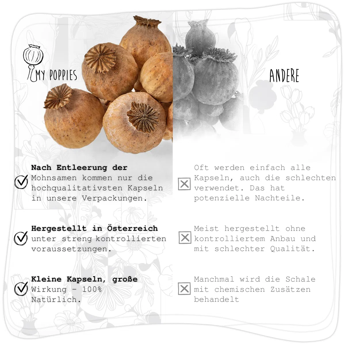 Mohnkapseln, Poppy Pods | Klein & ohne Stiel | Getrocknet | Bastelzubehör & Deko (Große Mohnkapseln, 250g)