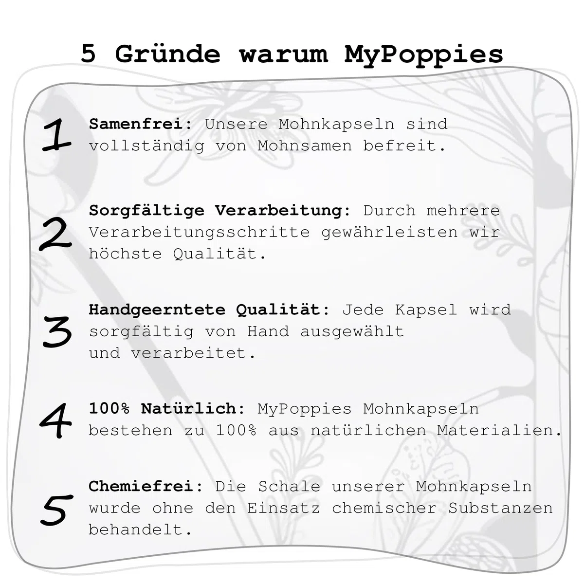 Mohnkapseln, Poppy Pods | Klein & ohne Stiel | Getrocknet | Bastelzubehör & Deko (Große Mohnkapseln, 250g)