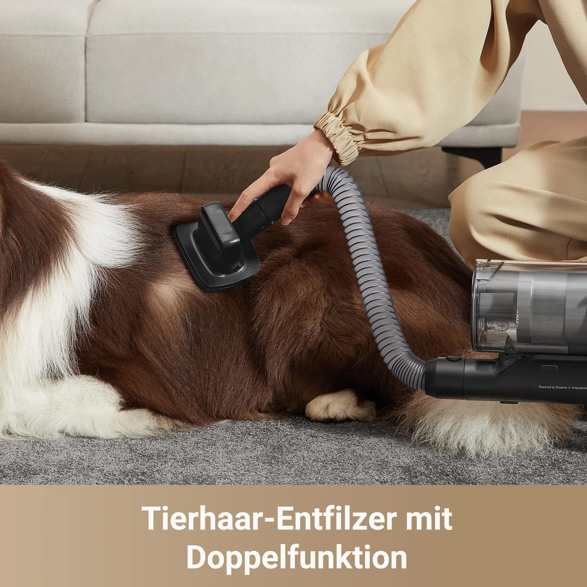 dreame Z30 Kabelloser Bodenstaubsauger, 28,000PA / 310 AW Saugkraft, 90 min Max Reinigungszeit, Dust-Reveal-Technologie, Tierhaar-Entfernungswerkzeug, Multi-Flächen-Saugkraft, Schmutzerkennung