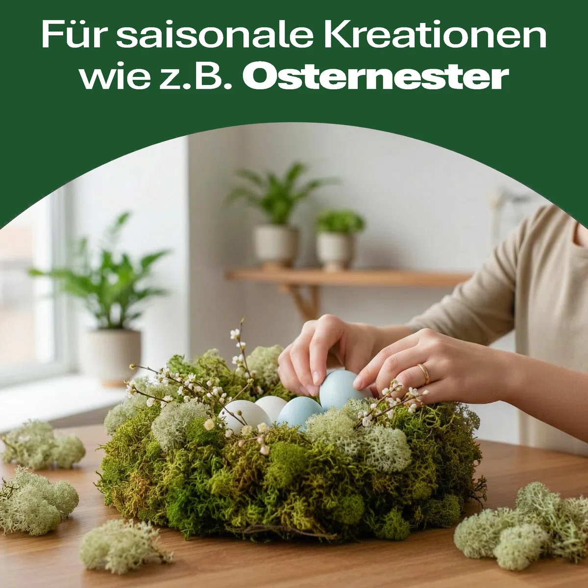 Sphagnum-Shop Islandmoos Rentierflechte konserviertes Moos in Hellgrün 1000 g | Echtes buntes Deko Moos für Moosbild Modellbau Basteln