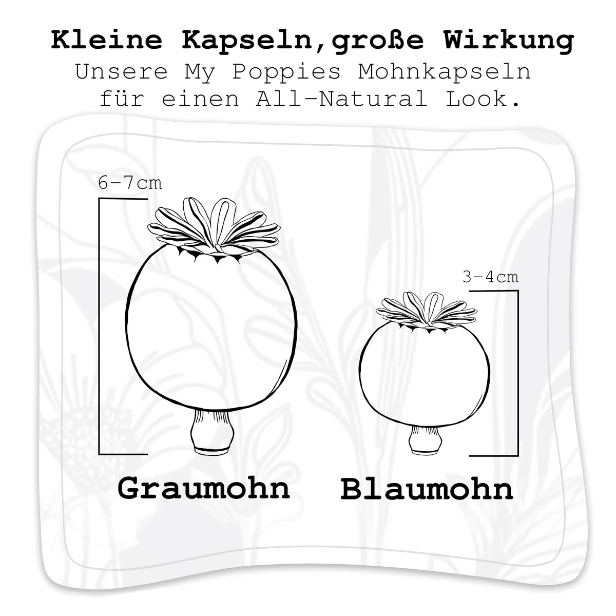 Mohnkapseln, Poppy Pods | Klein & ohne Stiel | Getrocknet | Bastelzubehör & Deko (Große Mohnkapseln, 250g)
