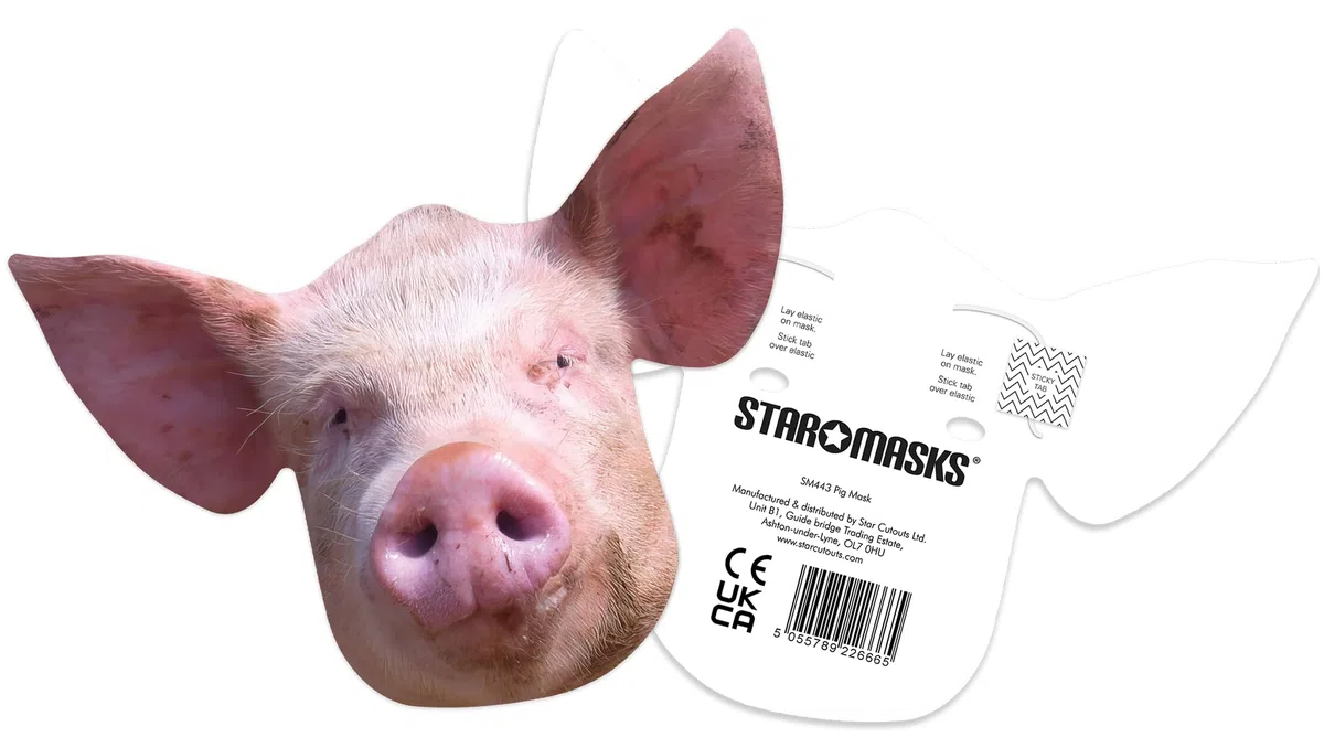 STAR CUTOUTS Ltd Bear Einzelgesichtsmaske